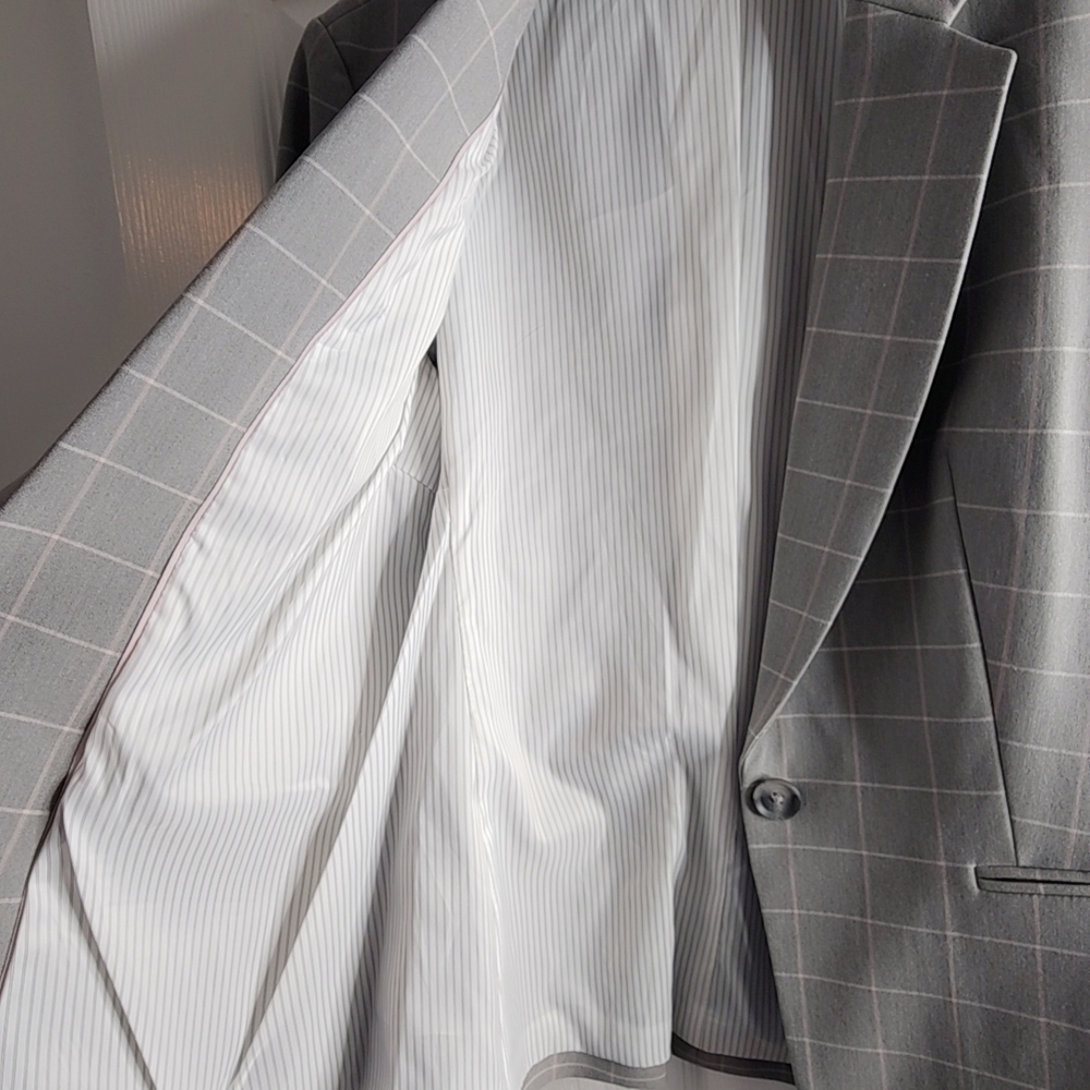 Express Light Gray Blazer with Subtle Pink Accents - Picture 3 of 4